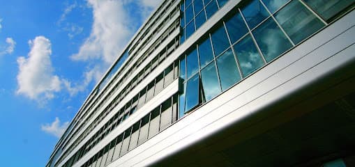 Rommel Makler für Immobilien